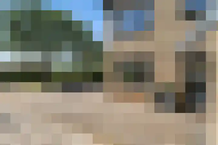 Lijsterbeslaan 10 Oostvoorne thumbnail 8