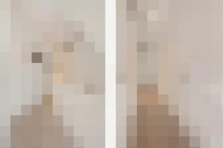 Lijsterbeslaan 101 Rijswijk thumbnail 17