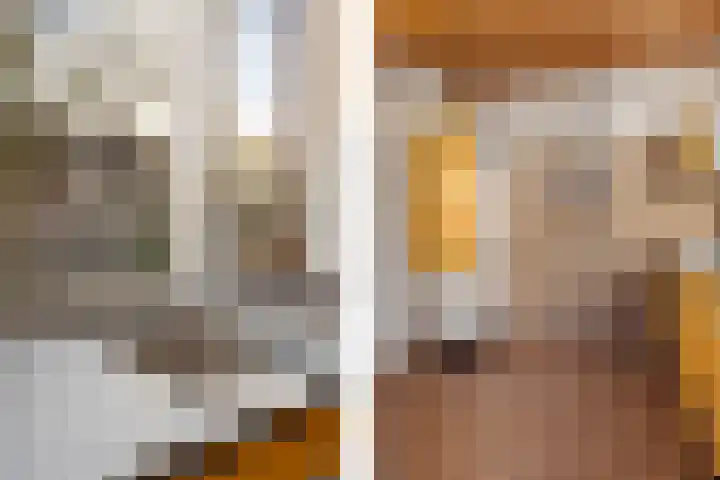 Lijsterbeslaan 101 Rijswijk thumbnail 20
