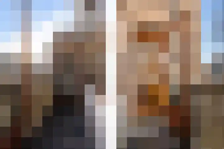Lijsterbeslaan 101 Rijswijk thumbnail 22