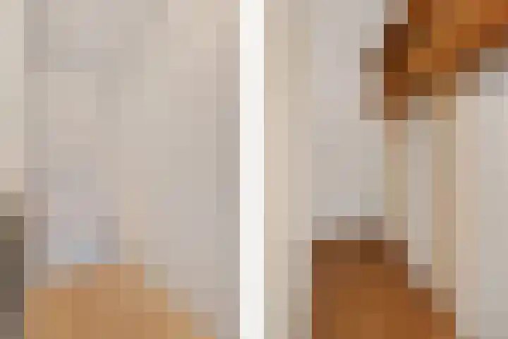 Lijsterbeslaan 101 Rijswijk thumbnail 25