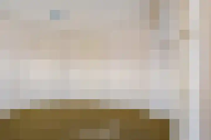 Lijsterbeslaan 101 Rijswijk thumbnail 28