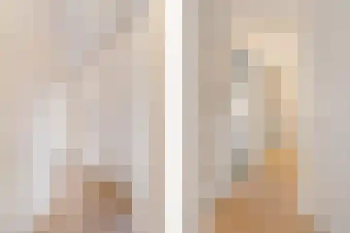 Lijsterbeslaan 101 Rijswijk thumbnail 29