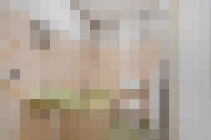 Lijsterbeslaan 101 Rijswijk thumbnail 30