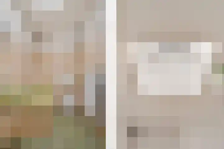 Lijsterbeslaan 101 Rijswijk thumbnail 31