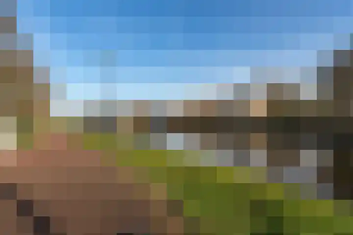 Lijsterbeslaan 101 Rijswijk thumbnail 41