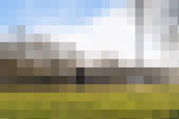 Lijsterbeslaan 101 Rijswijk thumbnail 42