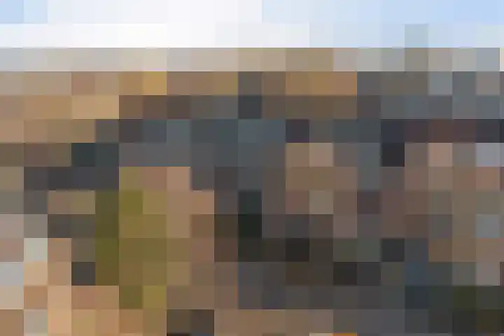 Lijsterbeslaan 101 Rijswijk thumbnail 45