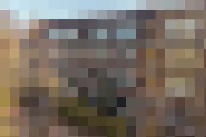 Lijsterbeslaan 101 Rijswijk thumbnail 5
