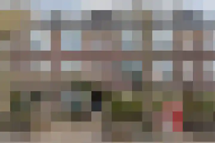 Lijsterbeslaan 101 Rijswijk thumbnail 6