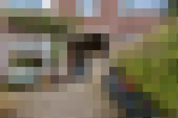 Lijsterbeslaan 101 Rijswijk thumbnail 8