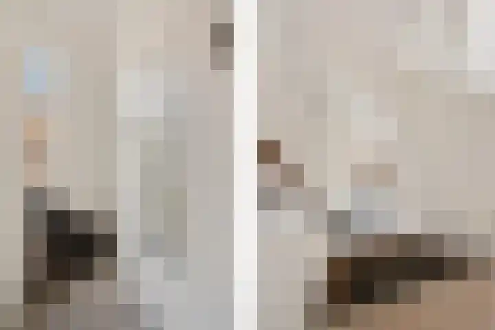 Lijsterbeslaan 101 Rijswijk thumbnail 9