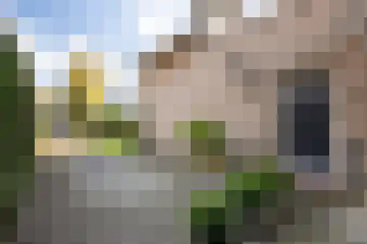 Lijsterbeslaan 11 Vught thumbnail 12