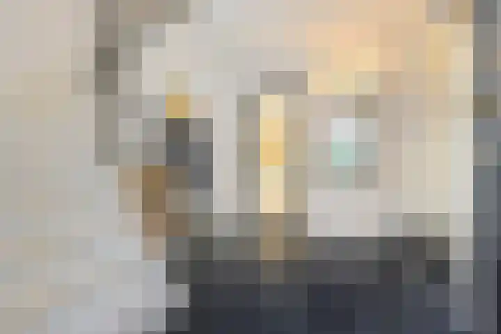 Lijsterbeslaan 11 Vught thumbnail 14