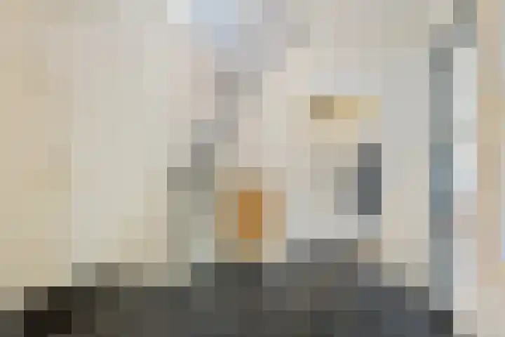 Lijsterbeslaan 11 Vught thumbnail 15