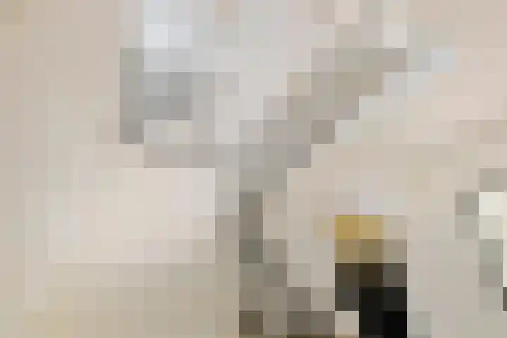 Lijsterbeslaan 11 Vught thumbnail 18