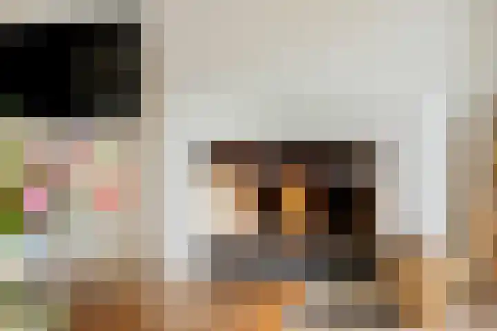 Lijsterbeslaan 11 Vught thumbnail 26