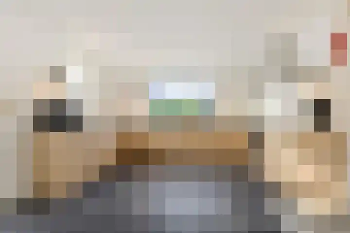 Lijsterbeslaan 11 Vught thumbnail 29