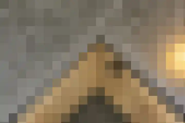 Lijsterbeslaan 11 Vught thumbnail 32