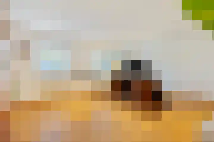 Lijsterbeslaan 11 Vught thumbnail 39