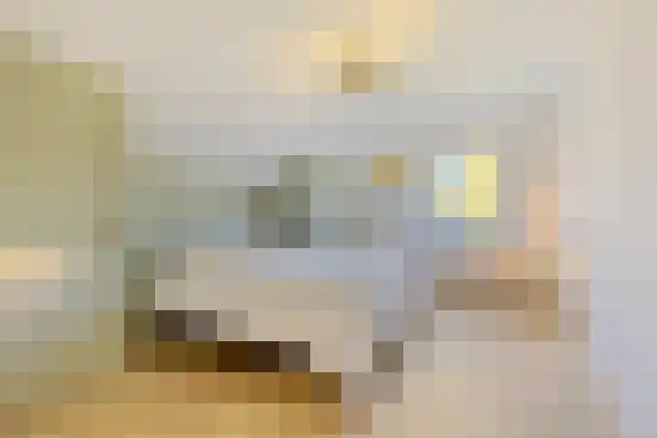 Lijsterbeslaan 11 Vught thumbnail 44
