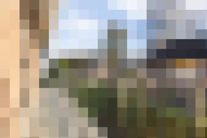 Lijsterbeslaan 11 Vught thumbnail 47