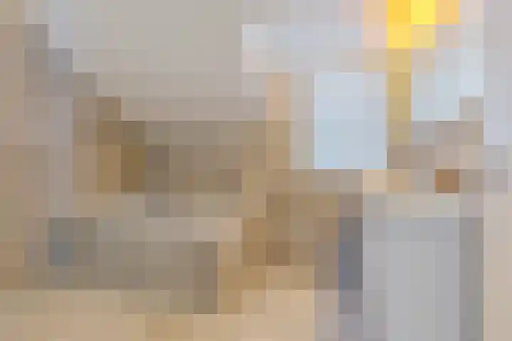 Lijsterbeslaan 11 Vught thumbnail 49