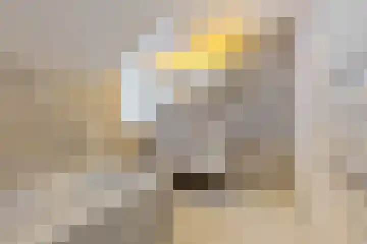 Lijsterbeslaan 11 Vught thumbnail 51