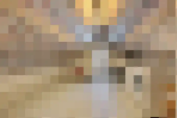 Lijsterbeslaan 11 Vught thumbnail 53
