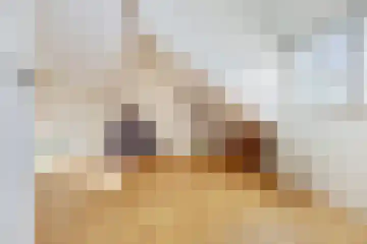 Lijsterbeslaan 11 Vught thumbnail 55