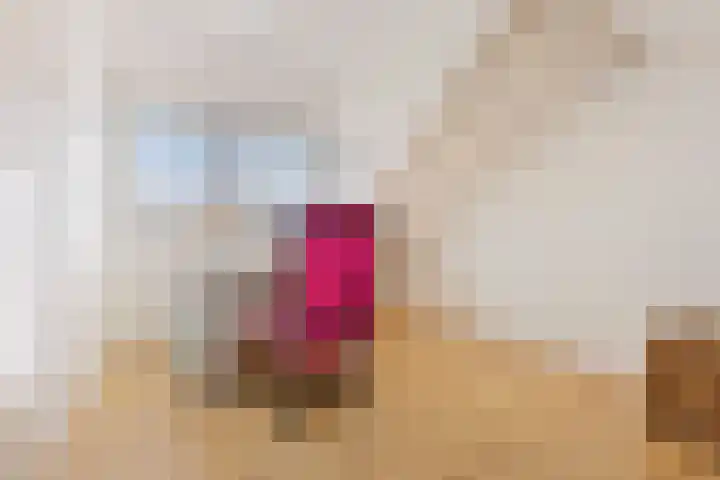 Lijsterbeslaan 11 Vught thumbnail 59
