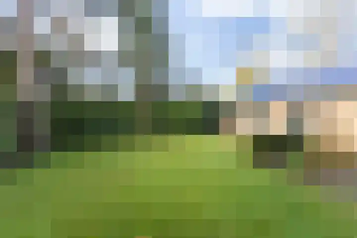 Lijsterbeslaan 11 Vught thumbnail 60