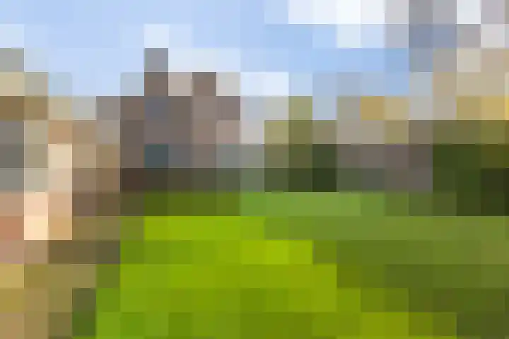 Lijsterbeslaan 11 Vught thumbnail 61