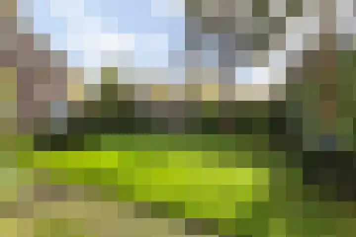 Lijsterbeslaan 11 Vught thumbnail 62