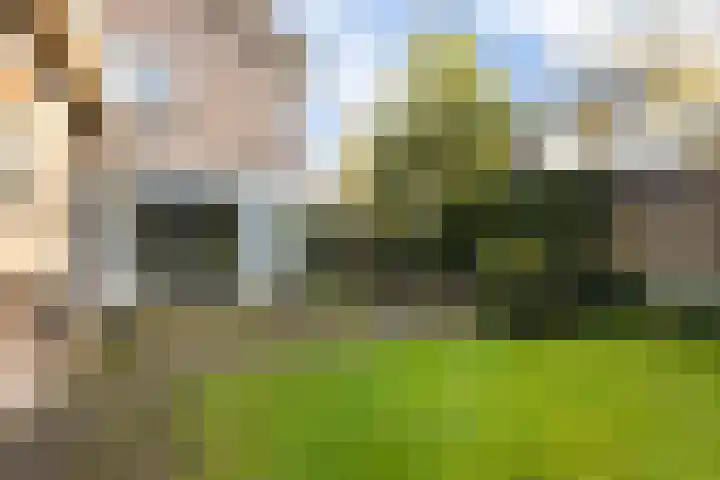 Lijsterbeslaan 11 Vught thumbnail 63