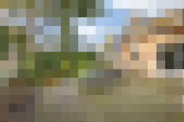 Lijsterbeslaan 11 Vught thumbnail 65