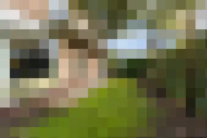 Lijsterbeslaan 11 Vught thumbnail 66