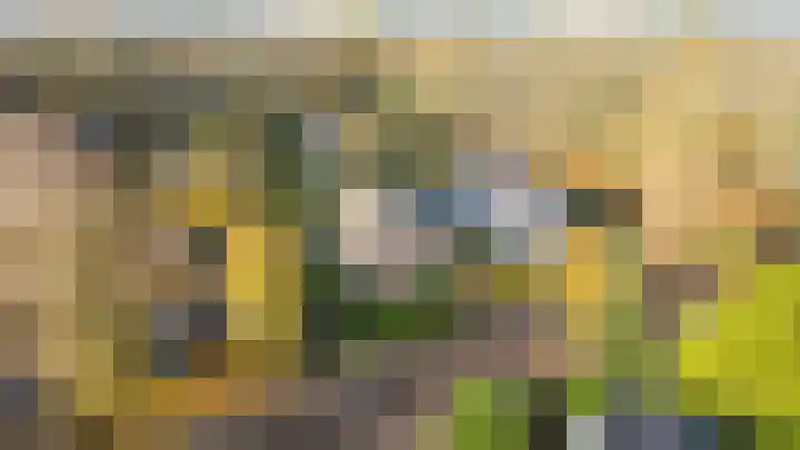 Lijsterbeslaan 11 Vught thumbnail 7
