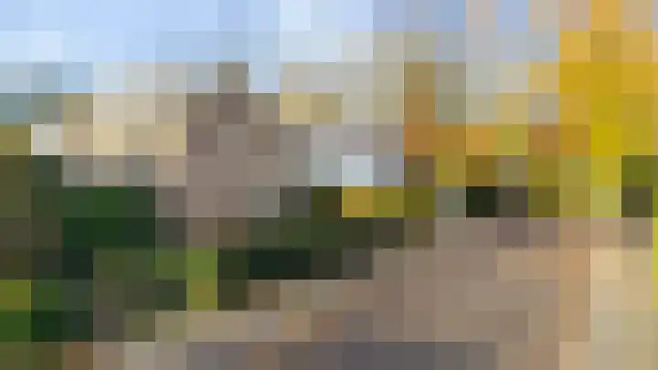 Lijsterbeslaan 11 Vught thumbnail 8