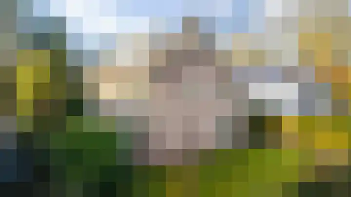 Lijsterbeslaan 11 Vught thumbnail 9