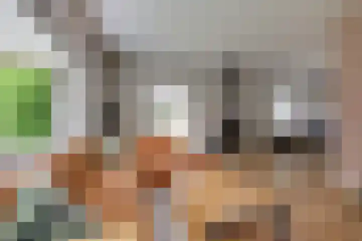 Lijsterbeslaan 113 Doetinchem thumbnail 15