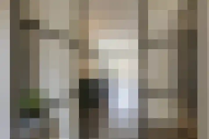 Lijsterbeslaan 113 Doetinchem thumbnail 19