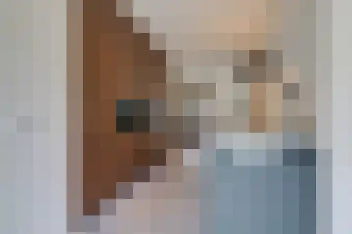 Lijsterbeslaan 113 Doetinchem thumbnail 22