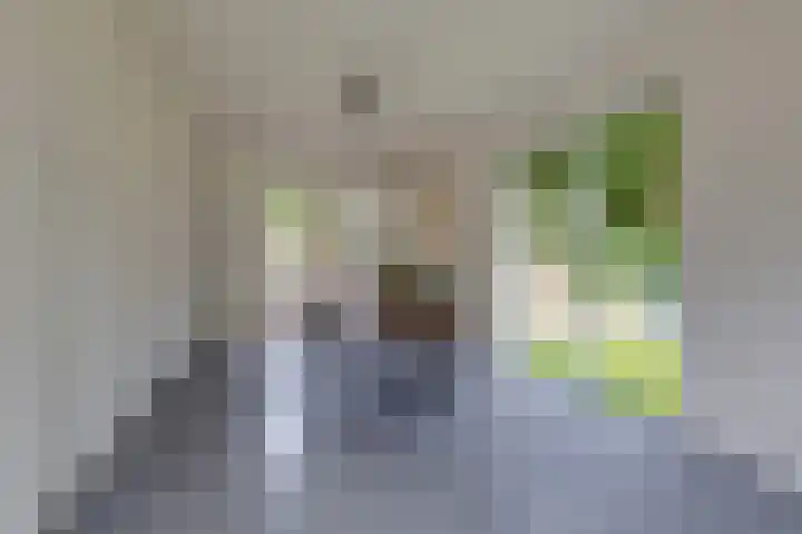 Lijsterbeslaan 113 Doetinchem thumbnail 30