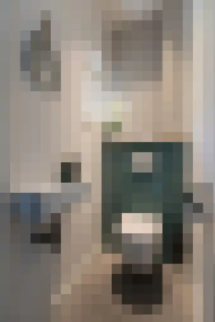 Lijsterbeslaan 113 Doetinchem thumbnail 32