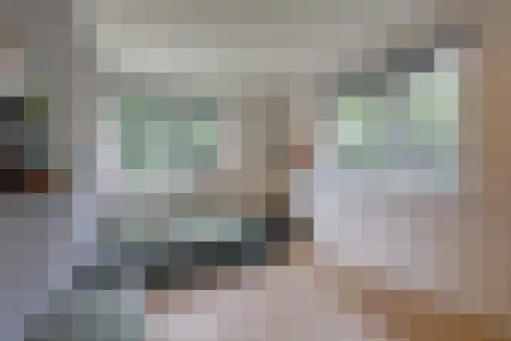 Lijsterbeslaan 113 Doetinchem thumbnail 35