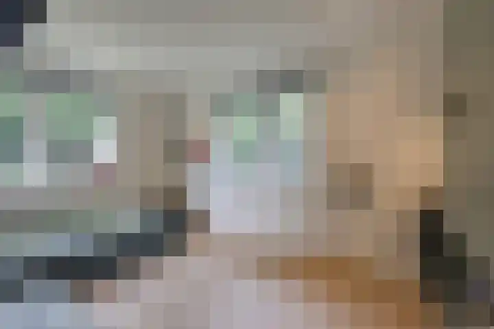 Lijsterbeslaan 113 Doetinchem thumbnail 37