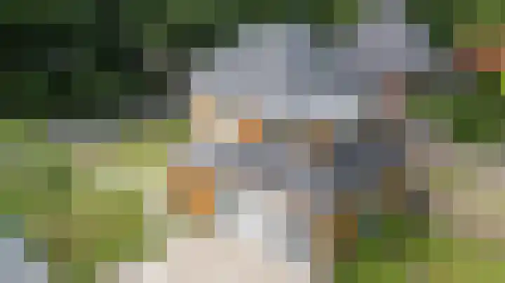 Lijsterbeslaan 113 Doetinchem thumbnail 4