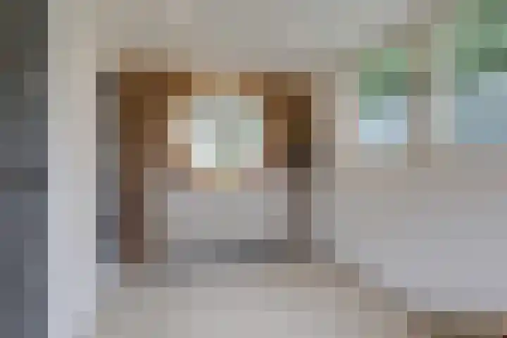 Lijsterbeslaan 113 Doetinchem thumbnail 51