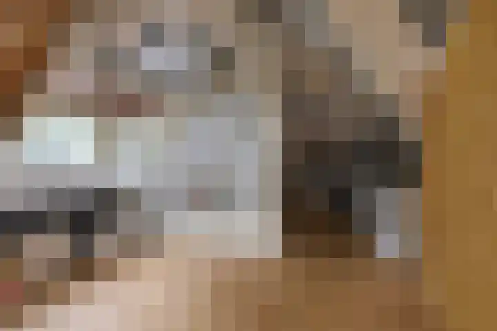 Lijsterbeslaan 113 Doetinchem thumbnail 53